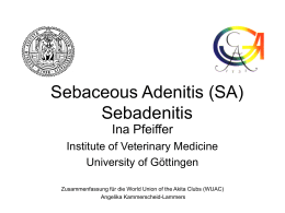 Sebaceous Adenitis (SA) Sebadenitis Ina Pfeiffer Institute of Veterinary Medicine