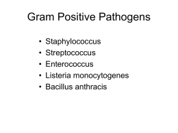 Gram Positive Pathogens • Staphylococcus • Streptococcus • Enterococcus