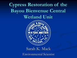 Cypress Restoration of  the Bayou Bienvenue Central Wetland Unit Sarah K. Mack