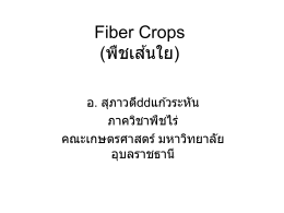 Fiber Crops (พืชเส้นใย) อ. สุภาวดี  แก้วระหัน ภาควิชาพืชไร่