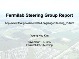 Fermilab Steering Group Report