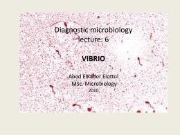 Diagnostic microbiology lecture: 6 VIBRIO Abed ElKader Elottol