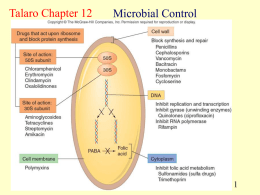 Microbial Control Talaro Chapter 12 1