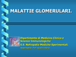 MALATTIE GLOMERULARI. Dipartimento di Medicina Clinica e Scienze Immunologiche S.S. Nefropatie Mediche Sperimentali.