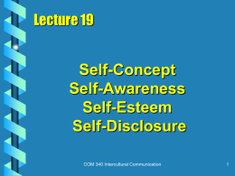 Self-Concept Self-Awareness Self-Esteem Self-Disclosure
