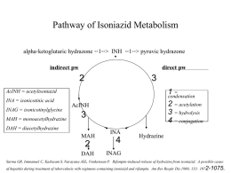 Pathway of Isoniazid Metabolism 2 3