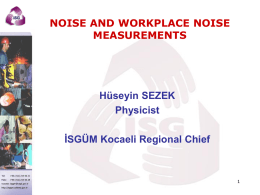 NOISE AND WORKPLACE NOISE MEASUREMENTS Hüseyin SEZEK Physicist