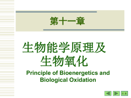 生物能学原理及 生物氧化 第十一章 Principle of Bioenergetics and