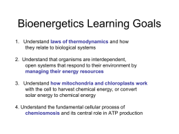 Bioenergetics Learning Goals
