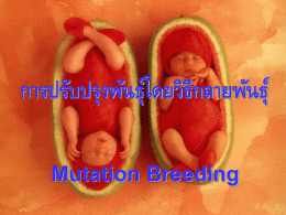 การปรับปรุงพันธุ์โดยวิธีกลายพันธุ์ Mutation Breeding