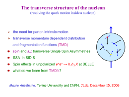 The transverse structure of the nucleon