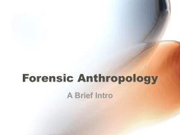 Forensic Anthropology A Brief Intro