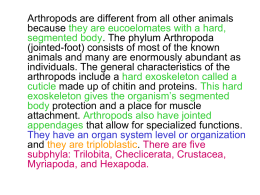 Arthropods are different from all other animals because . The phylum Arthropoda