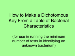 How to Make a Dichotomous Key From a Table of Bacterial Characteristics