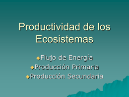 Productividad de los Ecosistemas Flujo de Energía Producción Primaria