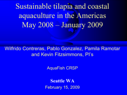 Sustainable tilapia and coastal aquaculture in the Americas