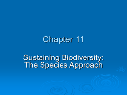 Chapter 11 Sustaining Biodiversity: The Species Approach