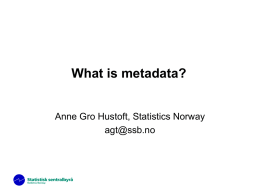 What is metadata? Anne Gro Hustoft, Statistics Norway