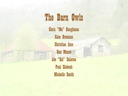 The Barn Owls Chris “Mo” Baughman Kate Brennan Christine Izuo