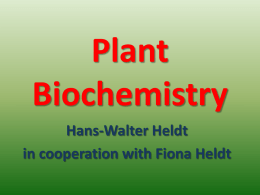 Plant Biochemistry Hans-Walter Heldt in cooperation with Fiona Heldt