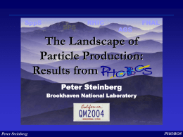 The Landscape of Particle Production: Results from Peter Steinberg