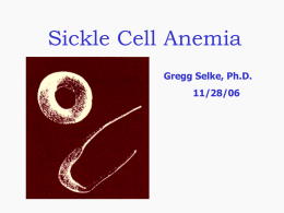 Sickle Cell Anemia Gregg Selke, Ph.D. 11/28/06