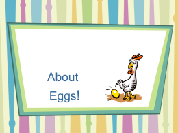 ! About Eggs