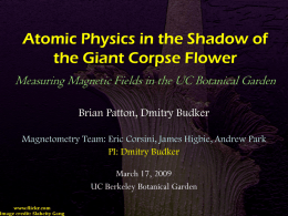 Atomic Physics in the Shadow of the Giant Corpse Flower
