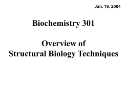 Biochemistry 301 Overview of Structural Biology Techniques Jan. 19, 2004