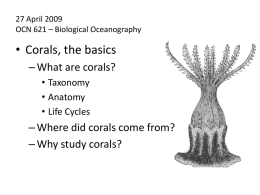 • Corals, the basics – What are corals? – Why study corals?