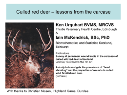 – lessons from the carcase Culled red deer Ken Urquhart BVMS, MRCVS