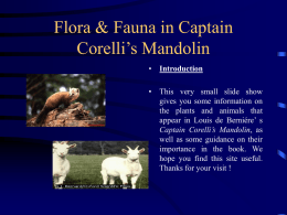 Flora &amp; Fauna in Captain Corelli’s Mandolin