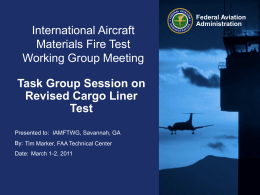 International Aircraft Materials Fire Test Working Group Meeting Task Group Session on