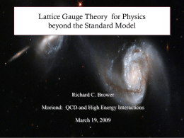 Lattice Gauge Theory  for Physics beyond the Standard Model