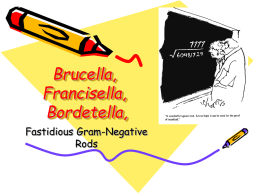 Brucella, Francisella, Bordetella, Fastidious Gram-Negative