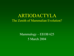ARTIODACTYLA The Zenith of Mammalian Evolution? Mammalogy &ndash; EEOB 625 5 March 2004