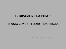 Companion Planting: Basic Concept and Resources Research &amp; compiled by Camille Leblanc