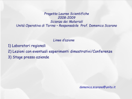 Progetto Lauree Scientifiche 2008-2009 Scienza dei Materiali