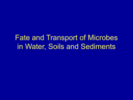Fate and Transport of Microbes in Water, Soils and Sediments