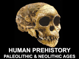 HUMAN PREHISTORY PALEOLITHIC &amp; NEOLITHIC AGES