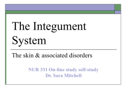 The Integument System The skin &amp; associated disorders NUR 331 On-line study self-study