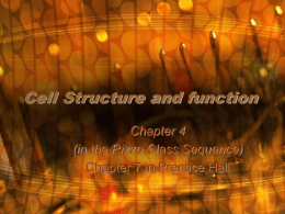 Cell Structure and function Chapter 4 (in the Rizzo Class Sequence)