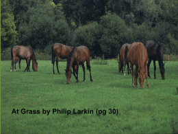 At Grass by Philip Larkin (pg 30)