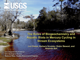The Roles of Biogeochemistry and Aquatic Biota in Mercury Cycling in