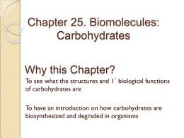 Chapter 25. Biomolecules: Carbohydrates Why this Chapter?