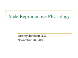 Male Reproductive Physiology Jeremy Johnson D.O. November 26, 2008