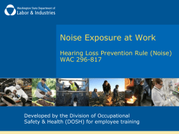 Noise Exposure at Work Hearing Loss Prevention Rule (Noise) WAC 296-817