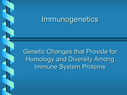 Immunogenetics Genetic Changes that Provide for Homology and Diversity Among Immune System Proteins