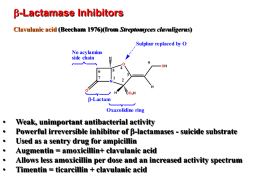 b -Lactamase Inhibitors