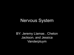 Nervous System BY: Jeremy Llamas , Cheton Jackson, and Jessica Vanderpluym